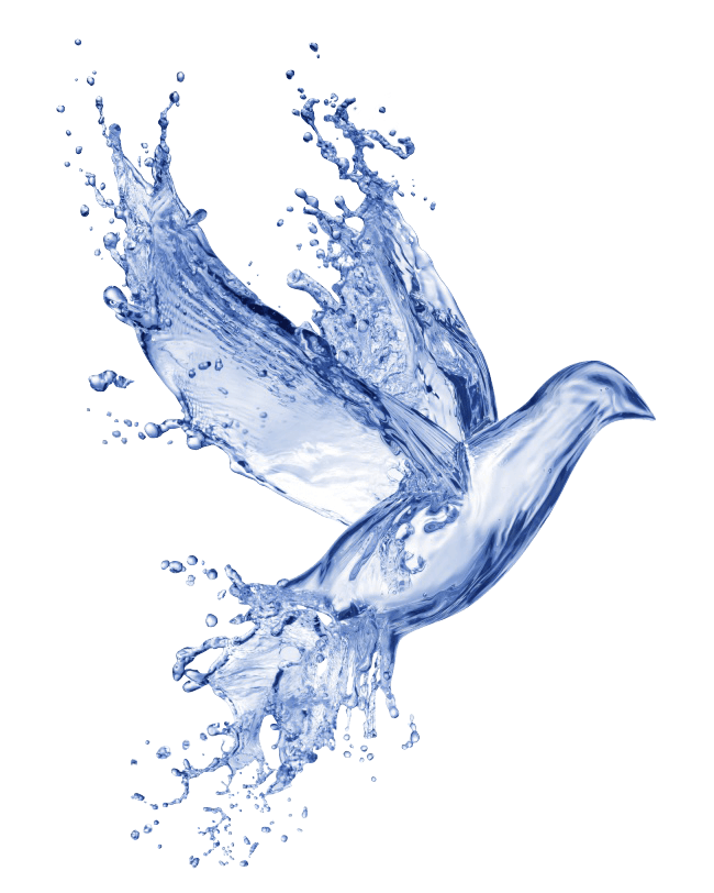 Baptism Water Dove