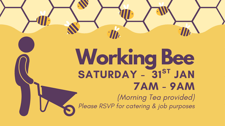 Banner Image for the Working Bee event at Caboolture Baptist Church